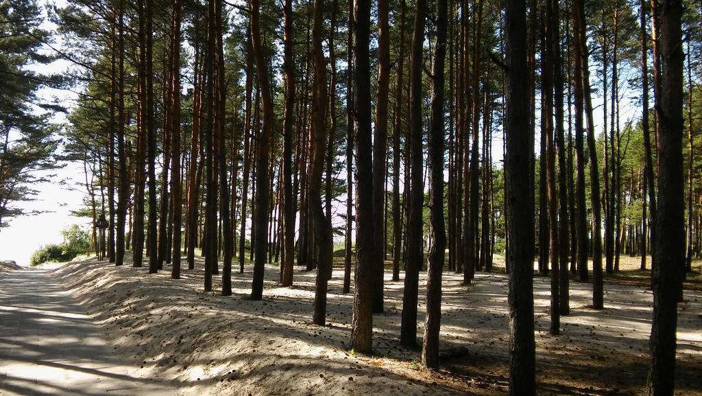Апартаменты Jauki Vieta Poilsiui Kunigiskese Паланга Экстерьер фото